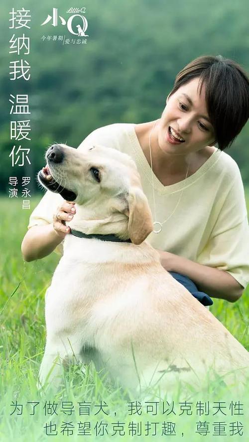 罗汉普顿大学 Certificate